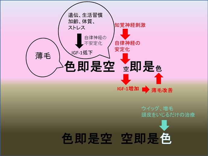 円形脱毛症　病院